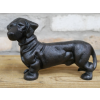 Sausage Dog