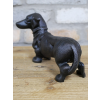 Sausage Dog