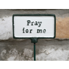 Plant Sign - Pray For Me