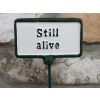Plant Sign - Still Alive