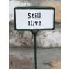 Plant Sign - Still Alive
