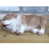 Sleeping Bulldog