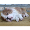 Sleeping Bulldog