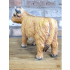 Highland Cow