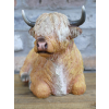 Laying Highland Cow