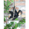 Swinging Monkey