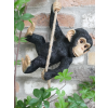Swinging Monkey