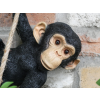 Swinging Monkey
