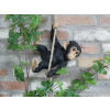 Swinging Monkey