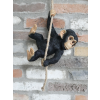 Swinging Monkey