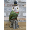 Owl In Suit