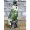 Owl In Suit