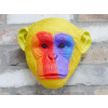 Rainbow Monkey Head