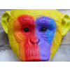 Rainbow Monkey Head