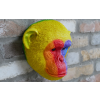 Rainbow Monkey Head