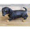 Small Dog