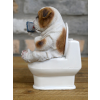 Bulldog On The Loo