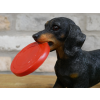 Dog Carrying Frisbee