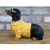 Dachshund Dog In Sweater