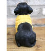 Dachshund Dog In Sweater