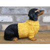 Dachshund Dog In Sweater