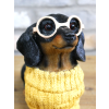 Dachshund Dog In Sweater