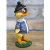 Cool Duck