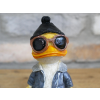 Cool Duck