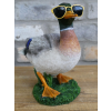 Duck In Shades