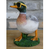 Duck In Shades