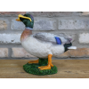 Duck In Shades