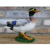 Duck In Shades