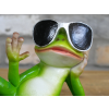 Chilling Frog