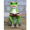 Reading Frog