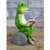 Reading Frog