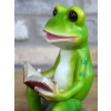 Reading Frog