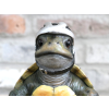 Speedy Tortoise