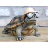 Holiday Tortoise