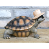 Holiday Tortoise