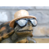 Holiday Tortoise
