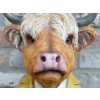 Large Cow Bust
