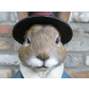 Large Rabbit Bust