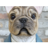 Large Frenchie Dog Bust
