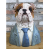 Large Bulldog Bust