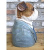 Large Bulldog Bust