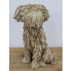 Sitting Shaggy Dog