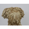 Sitting Shaggy Dog
