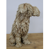 Sitting Shaggy Dog