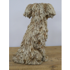 Sitting Shaggy Dog