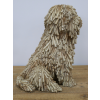 Sitting Shaggy Dog